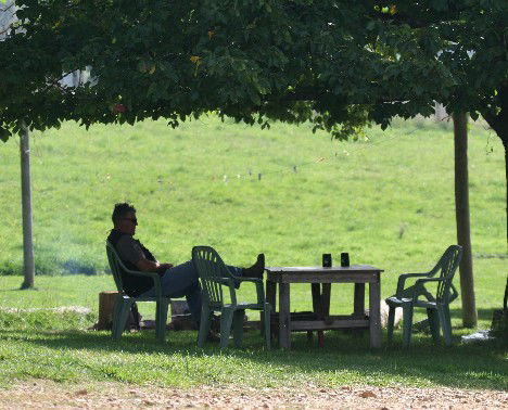 Fontenoy Farm Cottages - Accommodation Sunshine Coast 2