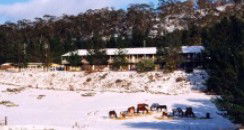 Cooba Holiday Motel - Accommodation Sunshine Coast 2