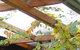 Cooma Bunkhouse Motel - thumb 2