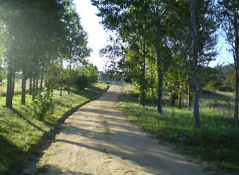Mia Creek Bed And Breakfast - Accommodation Sunshine Coast 0