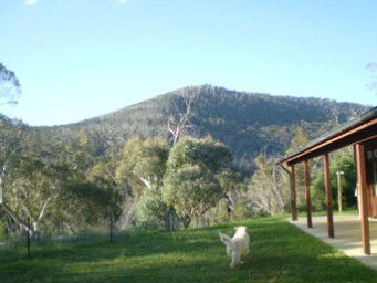 Mia Creek Bed And Breakfast - Accommodation Sunshine Coast 5