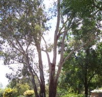 The Church House B and B - Accommodation Sunshine Coast