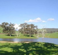 Hillview Farmstay - Accommodation Sunshine Coast