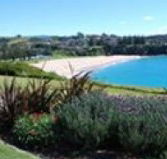 Beachfront Apartment Kiama - Accommodation Sunshine Coast