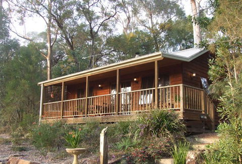 Bingle Tree Retreat - Accommodation Sunshine Coast 5