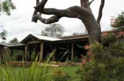 Mount Byron QLD Accommodation Sunshine Coast