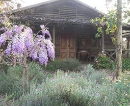 Barney Creek Vineyard Cottages - Accommodation Sunshine Coast 3