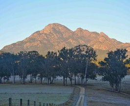 Barney Creek Vineyard Cottages - Accommodation Sunshine Coast 5