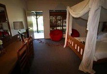 The Bearded Dragon Boutique Hotel - Accommodation Sunshine Coast 3