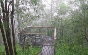 Eagles Rest Retreat - Accommodation Sunshine Coast 4