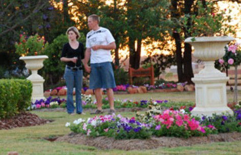Mulanah Gardens Bed And Breakfast Cottages - Accommodation Sunshine Coast 4