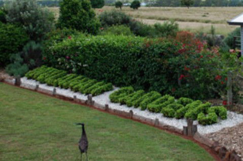 Mulanah Gardens Bed And Breakfast Cottages - Accommodation Sunshine Coast 5