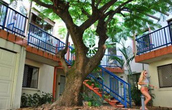 Sleeping Inn Backpackers Resort - Accommodation Sunshine Coast 0