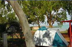 Roebuck Bay Caravan Park - Accommodation Sunshine Coast 0
