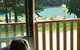 Hawke Brook Chalets - thumb 0