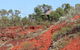 Goombaragin Eco Retreat - thumb 1