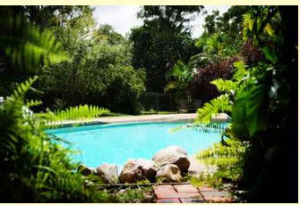 Gumnut Glen Cabins - Accommodation Sunshine Coast 0