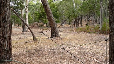 UC Camping Norval - Accommodation Sunshine Coast 4