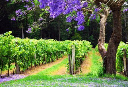  Accommodation Sunshine Coast