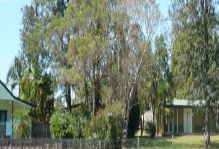 Nimbin NSW Accommodation Sunshine Coast