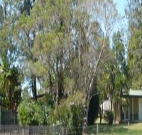 Nimbin Backpackers at Grannys Farm - Accommodation Sunshine Coast