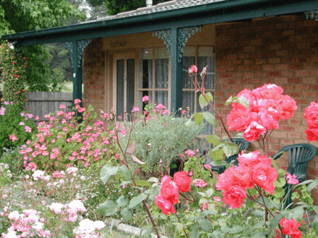 Balnarring Village Motor Inn - Accommodation Sunshine Coast 5