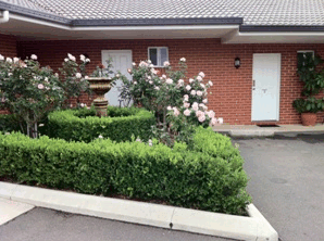 Akuna Motor Inn - Accommodation Sunshine Coast 4