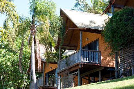 A Paradise Palms Resort - Accommodation Sunshine Coast 1