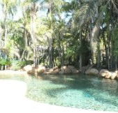 Bushland Beach Tavern - Accommodation Sunshine Coast
