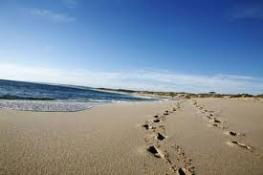 Kalbarri Palm Resort - Accommodation Sunshine Coast 4