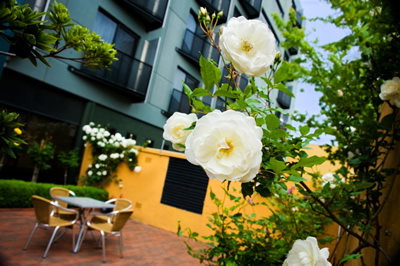 The Old Woolstore Apartment Hotel - Accommodation Sunshine Coast 5