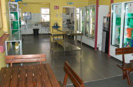 Surf N Sun Beachside Backpackers - Accommodation Sunshine Coast 3
