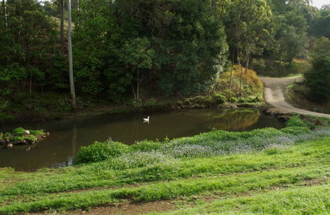 Wattle Gully Retreat - Accommodation Sunshine Coast 4