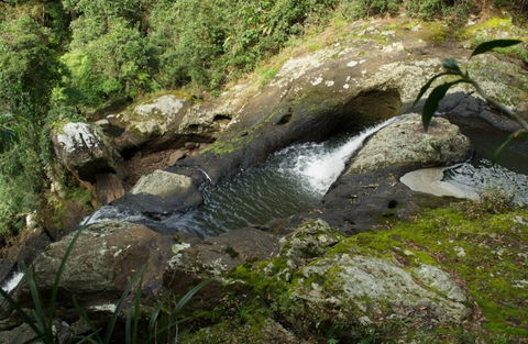 Wattle Gully Retreat - Accommodation Sunshine Coast 7