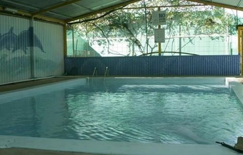 Wycliffe Well Holiday Park - Accommodation Sunshine Coast 1