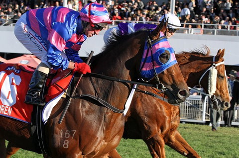 Quest Ascot - Accommodation Sunshine Coast 4