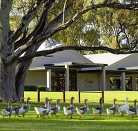 Serafino McLaren Vale