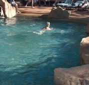 Undara Experience Lava Lodge - Accommodation Sunshine Coast