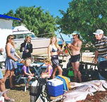 Shark Bay Cottages - Accommodation Sunshine Coast