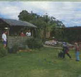 Tambo Lodge - Accommodation Sunshine Coast