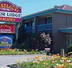 Strzelecki Motor Lodge - Accommodation Sunshine Coast