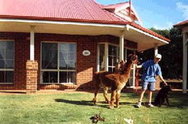 Brilea Cottages - Accommodation Sunshine Coast 0