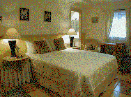 Fern Cottage Bed And Breakfast - Accommodation Sunshine Coast 0