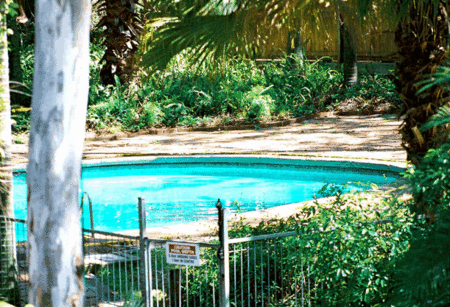 Forest Lodge Apartments - Accommodation Sunshine Coast