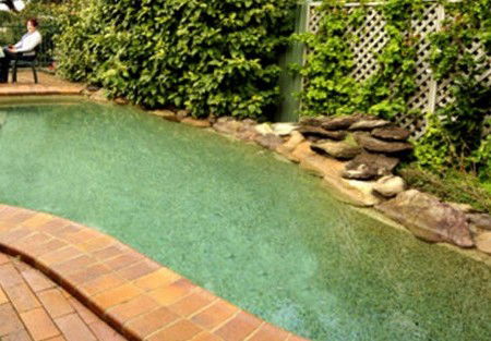 Newcomen Bed And Breakfast - Accommodation Sunshine Coast 2