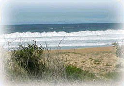 Hardys Bay NSW Accommodation Sunshine Coast
