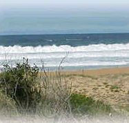 Mcgregors By The Bay - Accommodation Sunshine Coast