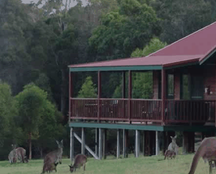 Walpole Wilderness Resort - thumb 0
