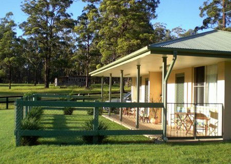 Neds Bed Horse O Tel - Accommodation Sunshine Coast 1