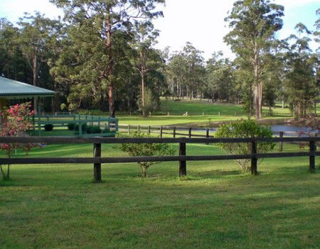 Neds Bed Horse O Tel - Accommodation Sunshine Coast 2